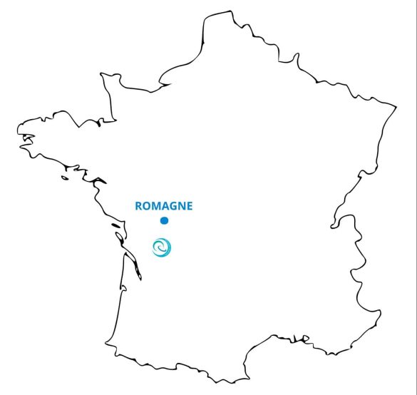 Au royaume des singes (VF) - Movies on Google Play